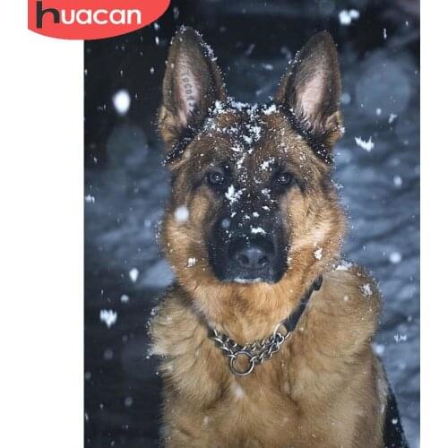 HUACAN Diamond Art Painting Dog Full Square/round Diamond Embroidery Mosaic Animal Snow Home Decor Wall Stickers