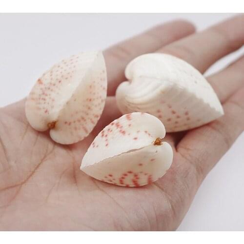 2-4cm Natural Love Heart Shaped Conch Lovers Sea Shell Valentines Day Gift Home Wedding Decoration Gift