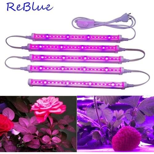 ReBlue LED Long Lamps