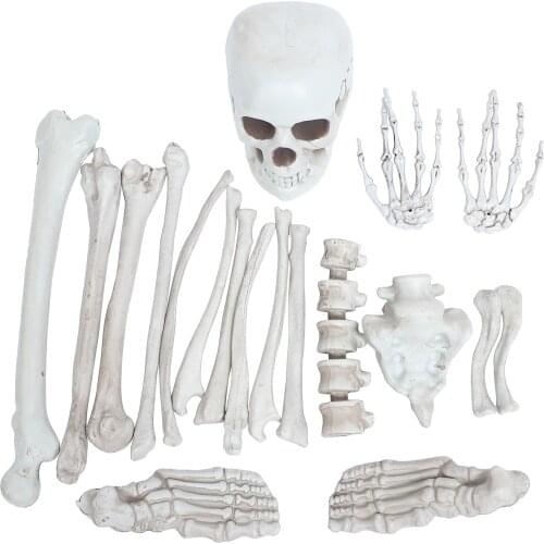 1 Set Skeleton Bones Graveyard Skulls Spooky Scene Props Party Skull Secret Room Escape Ghost House Scattered Bone Props