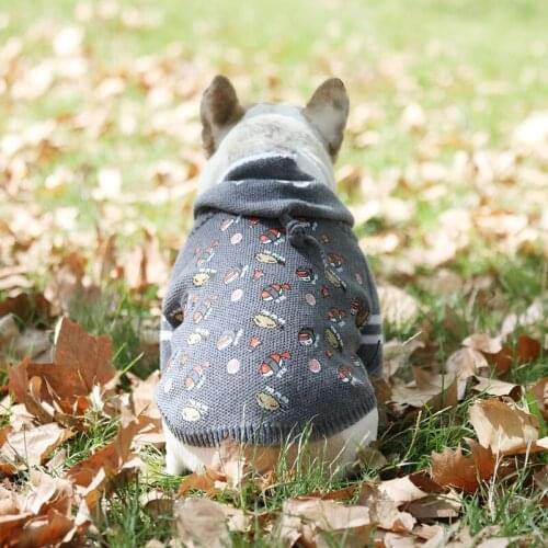 Fashion brand pet dog fancy style sweater animals sweater&small-breed dog& cat sweater