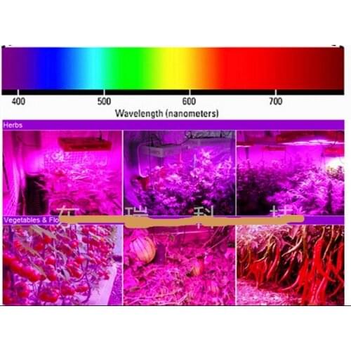 40PCS 3W Full Spectrum 400nm-840nm LED Chips 45mil High Power LED Diode For Indoor Plant Growing