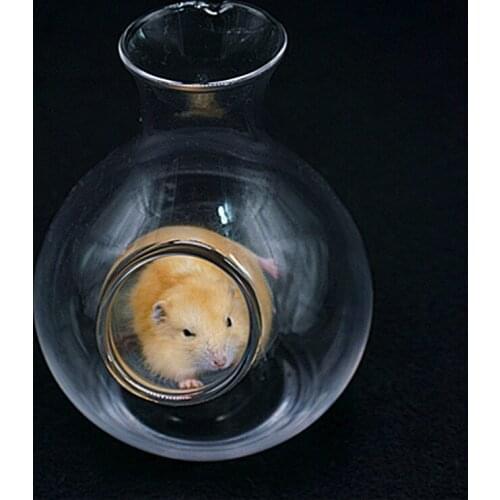 Creativity Hamster Ice Nest Animal Cooling Pot Transparent Glass Bed Summer Cute Sleeping House Small Pet Supplies 2021 New