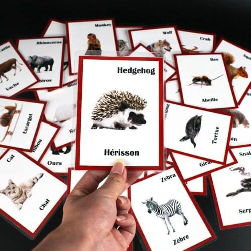30Pcs English/French Animals Words Flash Cards Kids Montessori Games Learning Word Cards Early Educational Toy For Children Baby