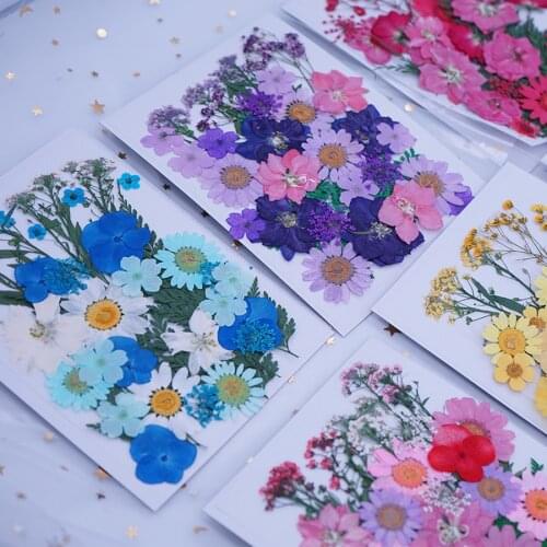 Pressed Dried Mixed Flowers+Leaves Plant Herbarium For Jewelry Bookmark Postcard Phone Case Invitation Card Handcraft DIY