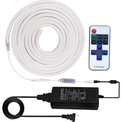 DC 12V Dimmerable Neon Strip Waterproof 120LEDs/m SMD 2835 LED Strip White Pink Red Blue Green Flexible Neon Lamp with Remote