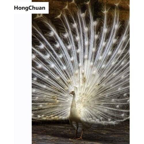 5D DIY full square round diamond painting peacock opening picture diamond mosaic crafts diamond embroidery mural gift