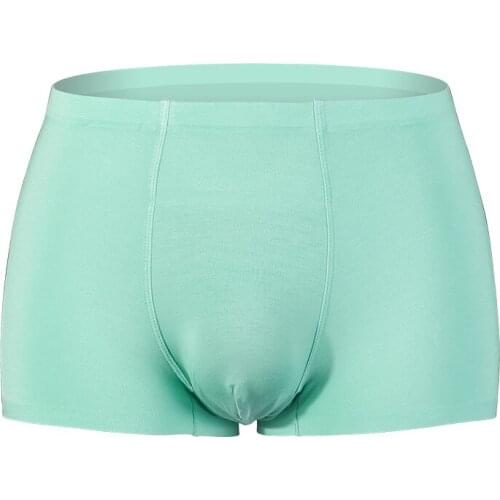 Sexy Men Underwear Boxers Shorts Seamless Modal Panties For Man Solid Pouch Underpants Male Penis Ropa Interior Hombre Plus Size