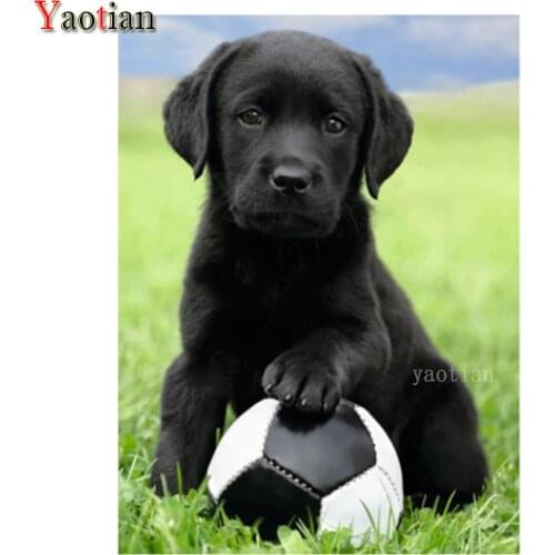 5D Full Drill Square Diamond Painting Cross Stitch Painting Labrador Retriever Football Diamond Embroidery Needlework Decor New