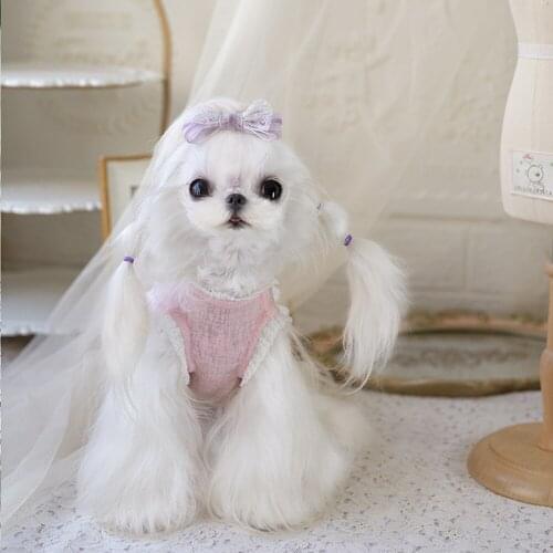 New Spring and Summer Thin LACE Skirt Pony Clothes Teddy Dog Bomei Yorkshire Puppy Clothes Girl Dog Princess Clothes