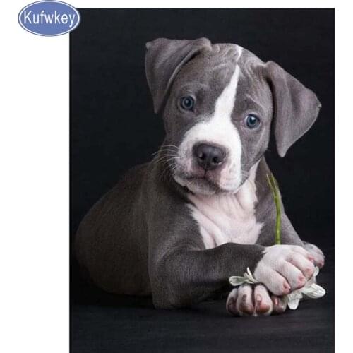 5D Diy Diamond Painting square Animal Cute Puppies Dog country decor stickers paint with diamonds Embroidery Kits dog Decor home