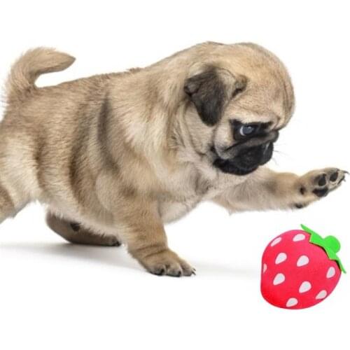 Pet Dog Squeaky Toy Plush Dogs Chew Cleaning Teeth Toys Puppy Bite Resistant Toys Interactive Dog Training Supplies Accessories