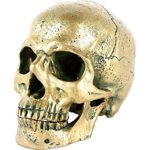 Bronze Skull Resin Crafts Real Size Model Modern Home Decoration Movie Medical Model Imitation Metal Halloween Party Decoration