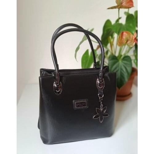 Dessano Women's Bright Bags