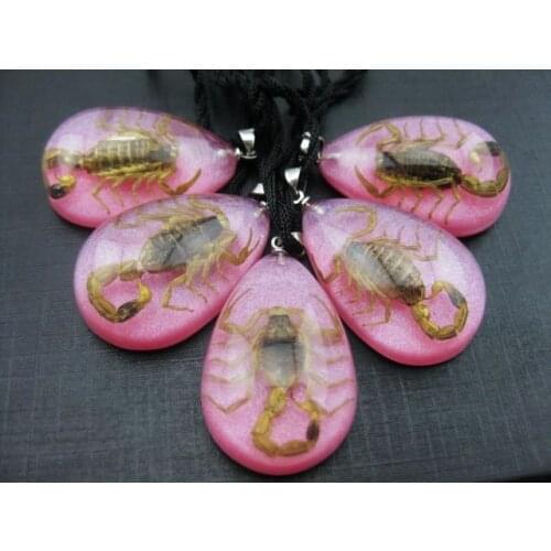 FREE SHIPPING 50 pcs vogue real fashion pink drop color gold scorpion pendant