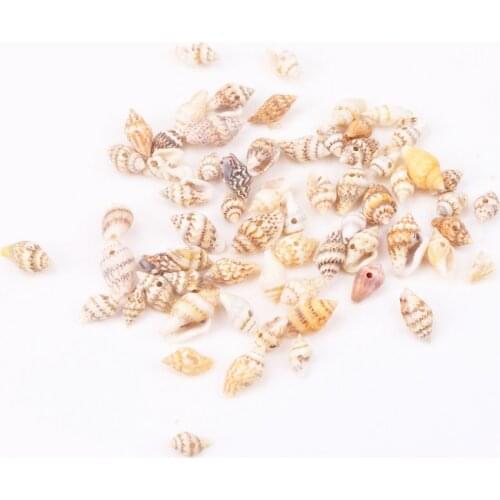 10-16mm 50pcs Natural conch shells mini conch corn screw wall decoration DIY aquarium landscape seashells