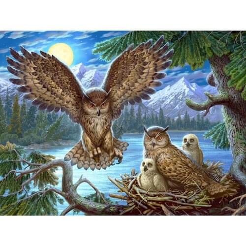 Diamond embroidery owl 5d diy diamond painting Birds Cross Stitch full square drill mosaic Picture with Rhinestones Home decor