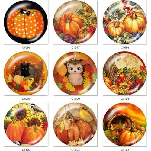 Thanksgiving pumpkin Classic hot sale 18mm Snap button jewelry DIY Bracelet Round photo glass cabochons TW725