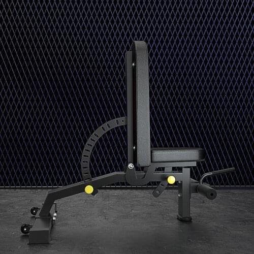 Professional Sports Equipment Home Mens Fitness Chair Height Adjustable Weight Lifting Dumbbell Bench