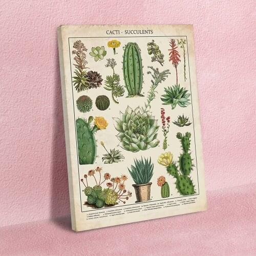 Home Decoration Nordic Style Modern Plant Kind Canvas Painting Pictures Wall Art Prints Simple Modular Poster For Living Room