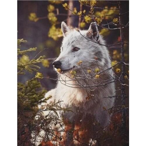 5D Diamond Paintings Wolf DIY Diamond Embroidery landscape Diamond Cross Stitch Home Decor animal Pictures Wall painting E1605