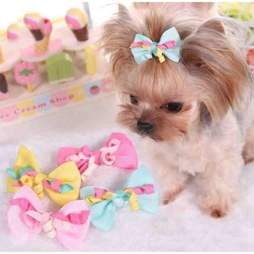 Despitego Dog Accessories