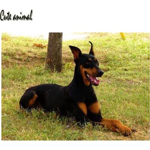 DIY diamond mosaic Doberman pinscher pictures of rhinestones diamond Embroidery diamond painting cross stitch full square/round