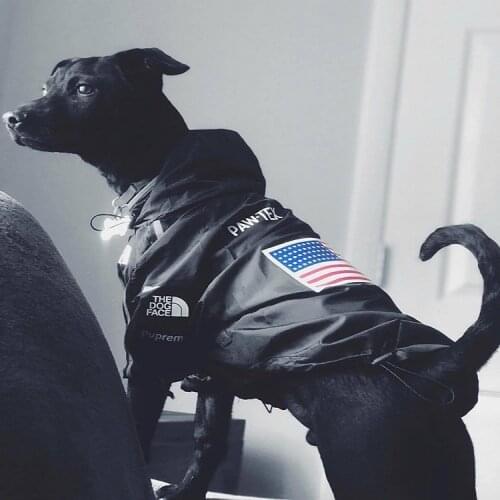 North brand Pet Dogs Clothes Raincoat for Pet Clothing For Small Big Dog French Bulldog Pug Dogs Hoodies Windbreaker Jacket