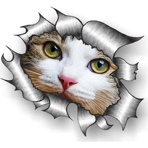 11359# Various Sizes Removable Decal Beautiful White Cat Kitten Face Eyes Car Sticker Waterproof on Bumper Rear Window Laptop