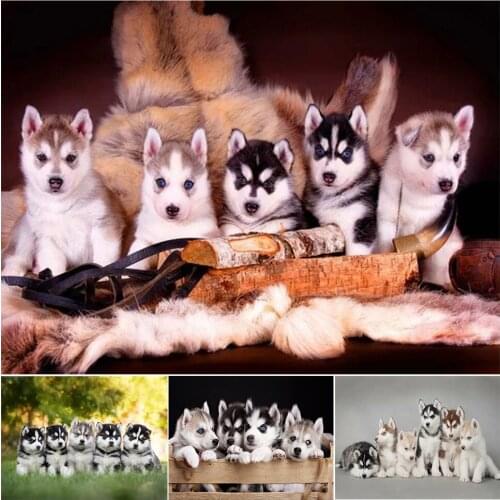 DIY 5D Diamond Painting Animal Dog Rhinestone Picture Full Square/round Mosaic Art Embroidery Cross Stitch Kit Home Decor Gift