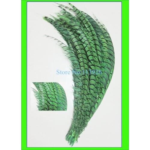 EMS free shipping 100pcs natural pheasant feathers 80-90cm dyed green lady amherst pheasant feather plumes