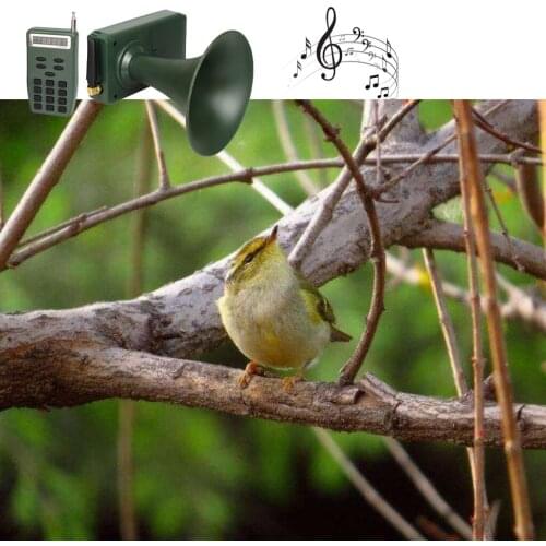 Wireless Bird Caller Hunting Decoy Bird Sound Loudspeaker Amplifier Outdoor Hunting Remote Control Birds Calling Device