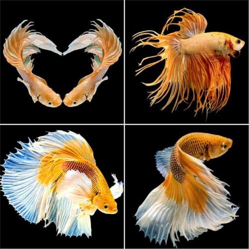 AZQSD Diamond Art Painting Kits Fish Handicraft Home Decor Diamond Mosaic Animal Cross Stitch Full Square Drill Handmade Gift