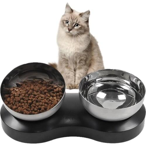 Double Cat Food Bowls 304 Stainless Steel Dog Bowl Feeder Elevated No Spill Pet Feeding Bowls Dishes for Puppy Small Cats Dogs