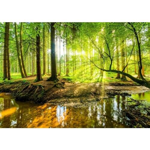 Green Tree Wall Forest Living Room Bedroom Giant Art print Silk poster Home Wall Decor