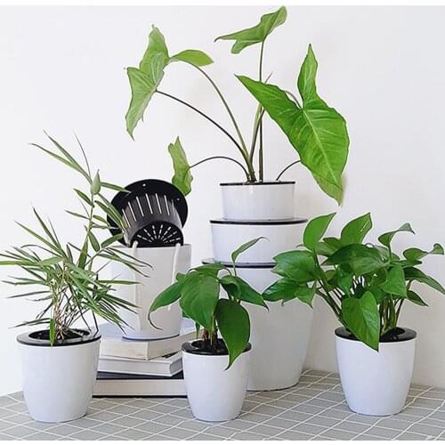 Wall Hanging Automatic Water-absorbing Lazy Flower Pot Resin Plastic Flower Pot Green Radish Garden Flower Box Round Large Pot
