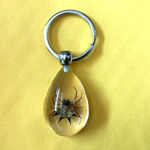 Free shipping 12 pcs yqtdmy key ring spider style cool lucid keychain