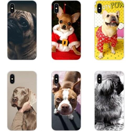 For Samsung Galaxy S3 S4 S5 Mini S6 S7 Edge S8 S9 S10 Lite Plus Note 4 5 8 9 Lovely Pekingese Clothes Transparent TPU Skin Cover