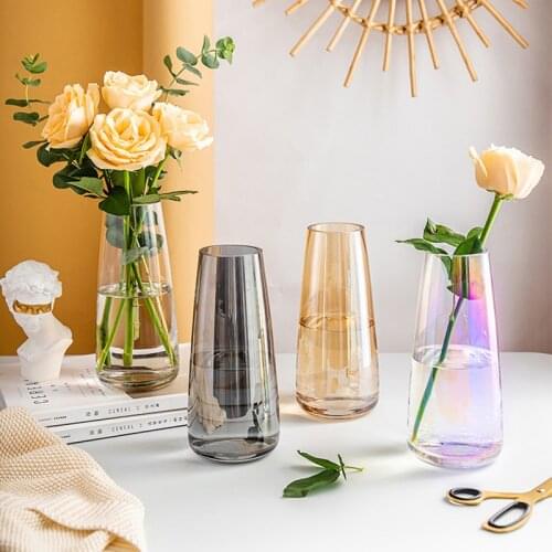 Nordic Creative Simple Ins Wind Glass Vase Water Culture Transparent Net Red Living Room Vase Dried Flower Decoration Ornaments