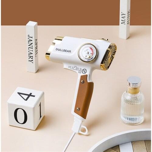 Professional Salon Negative Ionic Blow Dryer with Diffuser Concentrator Comb Hair Dryer with AC DC Motor