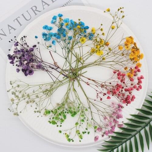 60 Pcs Natural Gypsophila Dried Flowers Small Flowers Bouquet Dry Flowers Press Mini Decorative Photography Background Decor