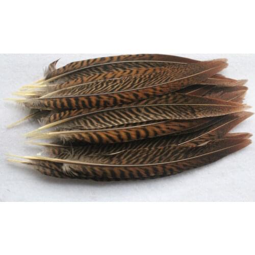 Wholesale! Perfect 50pcs Natural 6-8 inches/15-20 cm Golden Pheasant Tail Feathers for home /carnival/wedding decoration