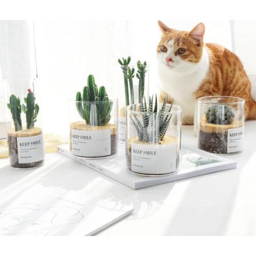 Glass Small Vase Nordic Jar Modern Design Desk Plant Pot Minimalist Vase Cactus Aesthetic Dekoracje Do Domu Home Decor DE50HP