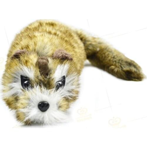 The Rocky Raccoon Magic Robbie Stage Magic Tricks Street Accessories Prop Funny Appear Spring Animal Magic Toy Illusions Gimmick