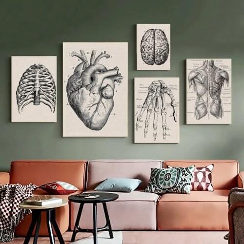Muscle Skeleton Human Anatomy Artwork Medical Wall Picture Vintage Poster Nordic Canvas Painting Print Modern Education Decor
