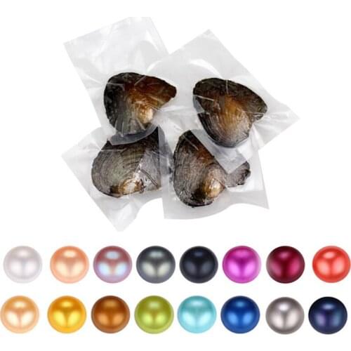 2018 DIY Natural Pearl Freshwater Cultured Round Bead Vacuum-Packed Oysters Pearl Oyster Pearl Mussel Fashion random color