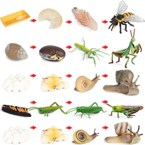 Toy Figure Insect Growth Cycle Snail Bee Mantis Life Cycle ModelsSimulation Animal Model Action Figure Teaching Material for Kid