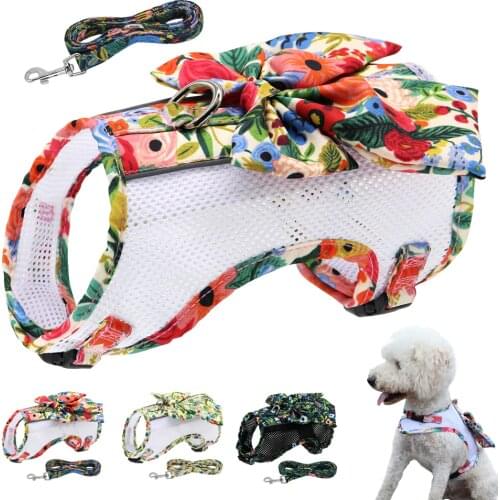 Printed Nylon Dog Harness And Leash Set Breathable Mesh Dog Vest Harness With Bowknot Outdoor Pet Harness For Small Medium Dogs