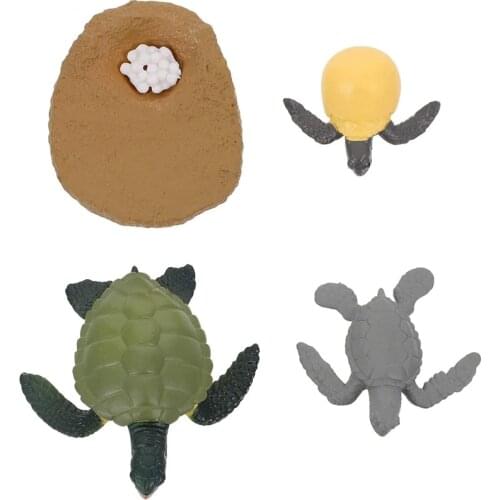 4Pcs Life Cycle Tortoise Toy Simulation Growth Game Set Child Early Education Biology Game