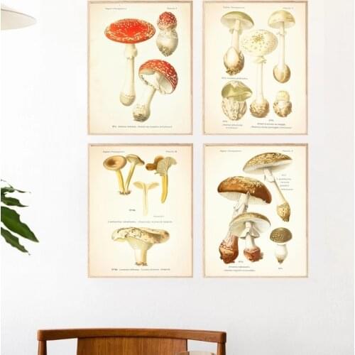 Vintage Mushroom Botanical Posters and Prints Atlas of Edible and Poisonous Mushrooms Plants Kraft pape Retro Poster